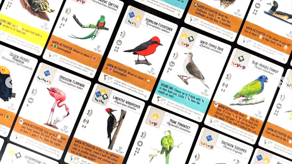 A spread of illustrated Wingspan bird cards showing abilities and facts